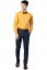 Moška srajca z dolgimi rokavi v rumeni barvi 44545