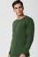 Pánský pulovr zelená P2037B-O