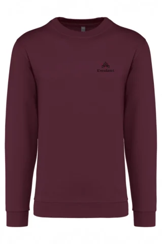 Moški pulover 44474 bordo