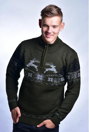 Men's sweater with deer Oliver Z green