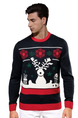 Christmas sweater REINDEER