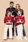 Vanocny svetr Christmas 449010