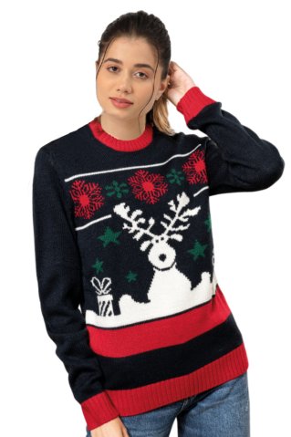 Women's Sweater 449010