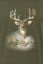 Lov majica s motivom skupine jelena Deerfamily