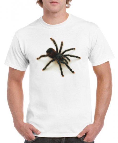 Tricou Spider 2 barbat KR alb