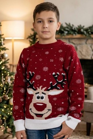 A young boy in a red Christmas sweater with a reindeer and snowflake pattern, standing in the living room next to a Christmas tree.