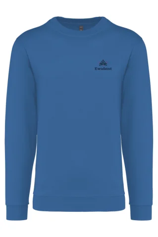 Moški pulover 44474 royal