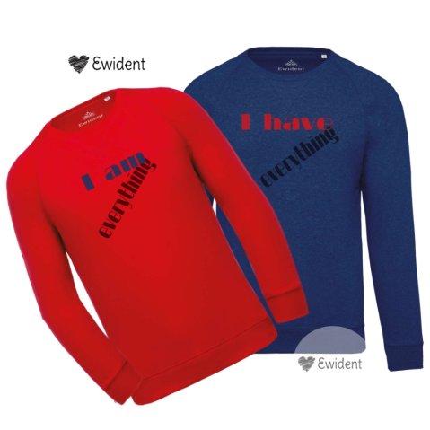 Mikina Everythingmik