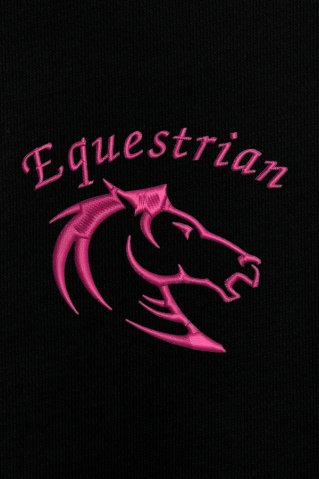 Women's Embroidered Sweatshirt Equepink