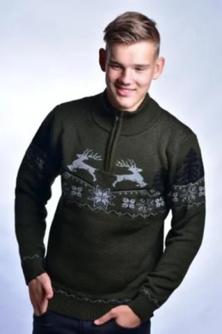 Men's sweater with deer Oliver Z green